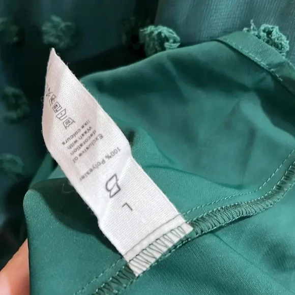 (5) NWOT Swiss dot sheer  long sleeve blouse - Picture 5 of 5